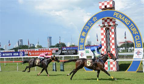 TURF CLUB is now open for outdoor .